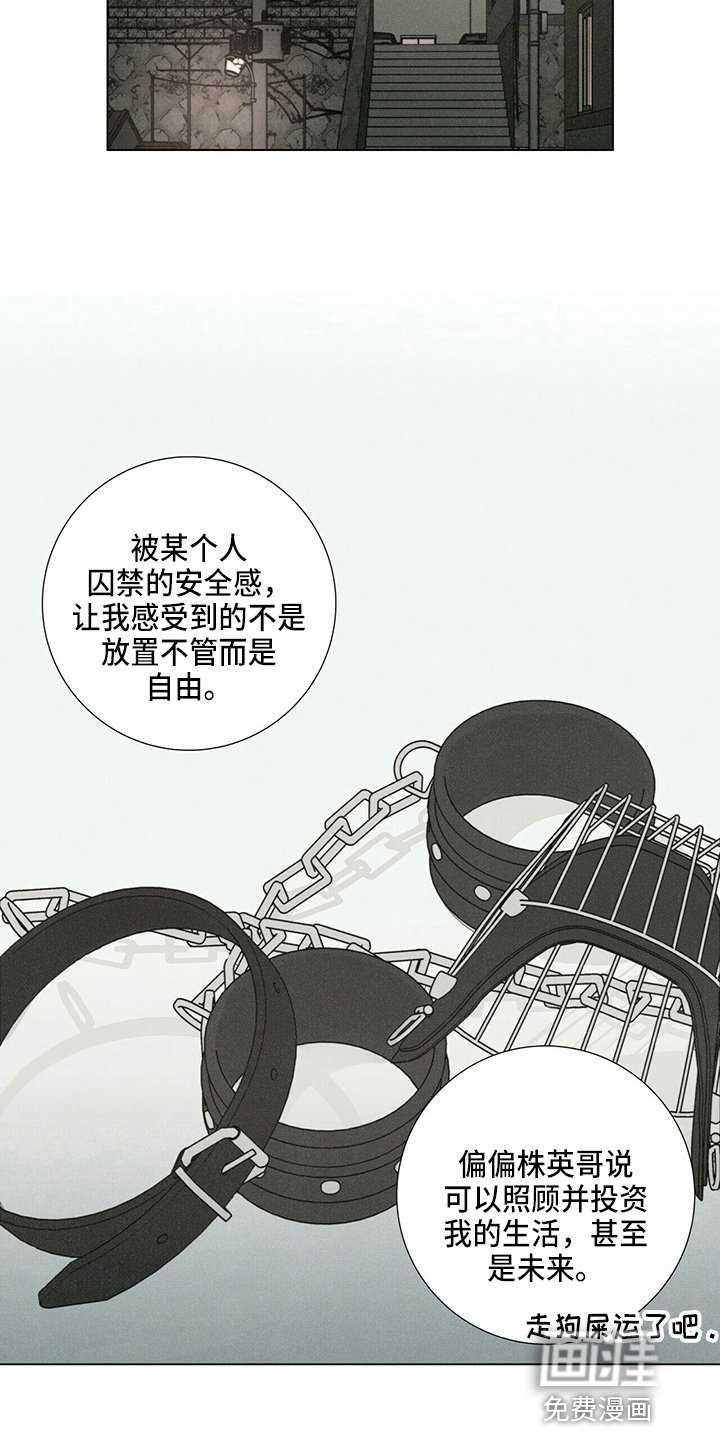 第19章：蝴蝶