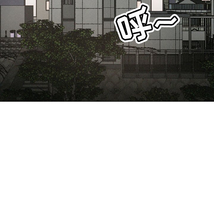 第19章：蝴蝶