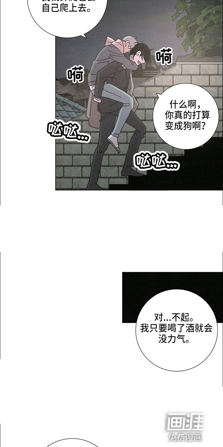 第19章：蝴蝶