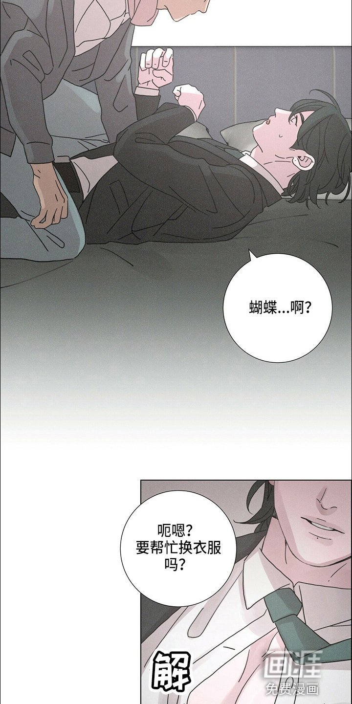 第19章：蝴蝶