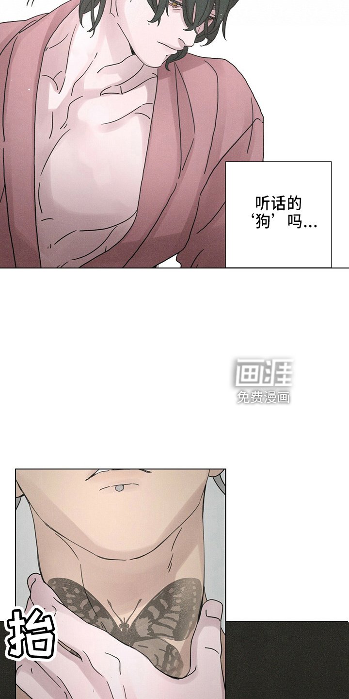 第21章：电话