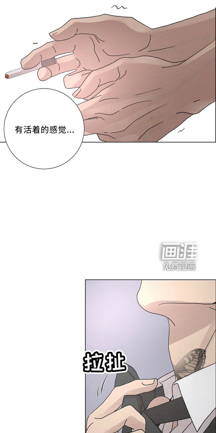 第28章：太期待