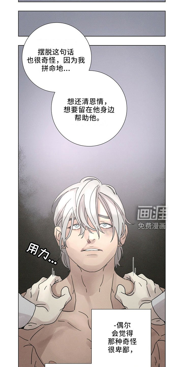 第28章：太期待