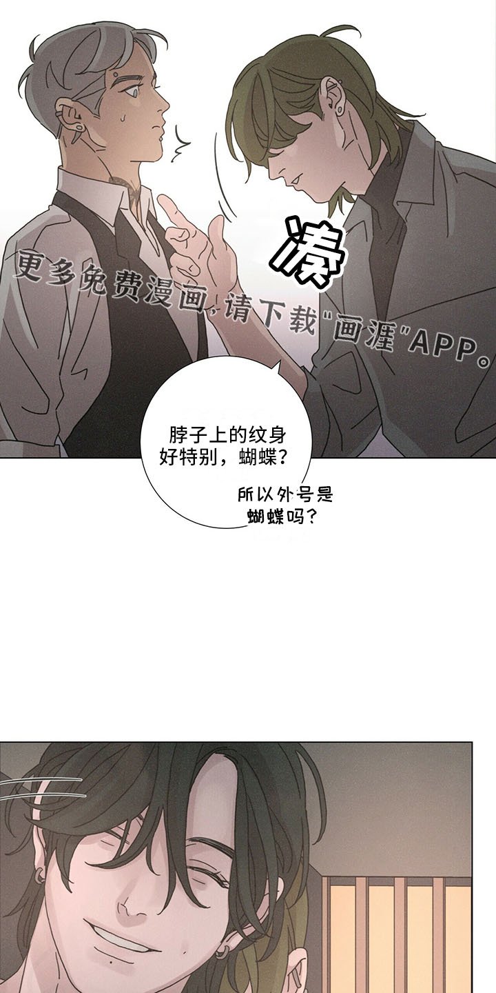 第28章：太期待