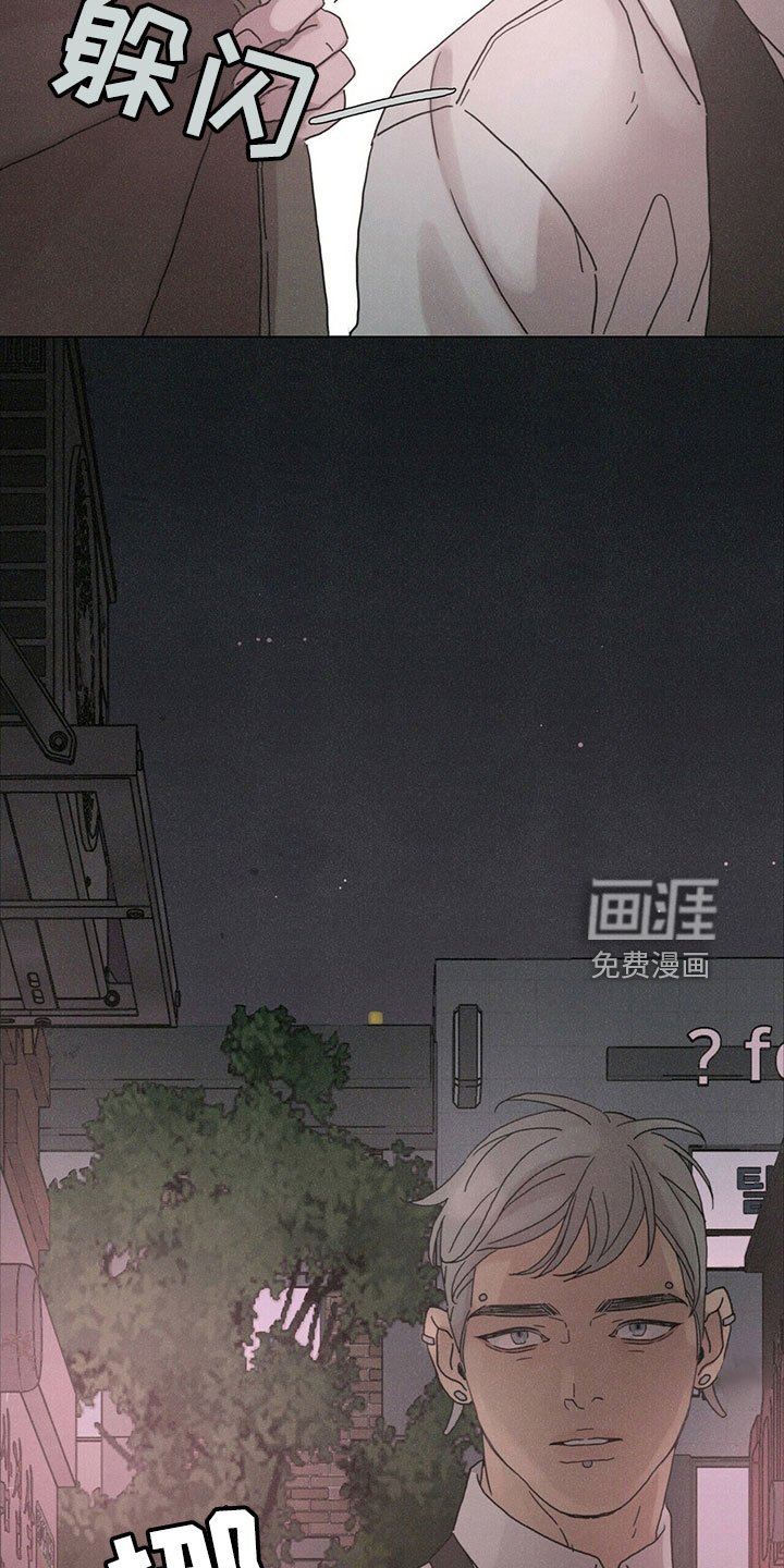 第31章：破茧