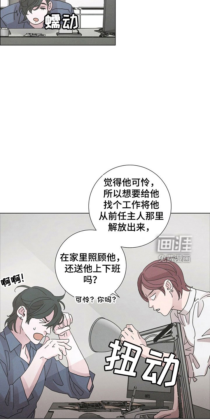 第31章：破茧