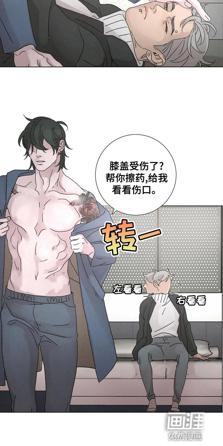 第39章：既视感