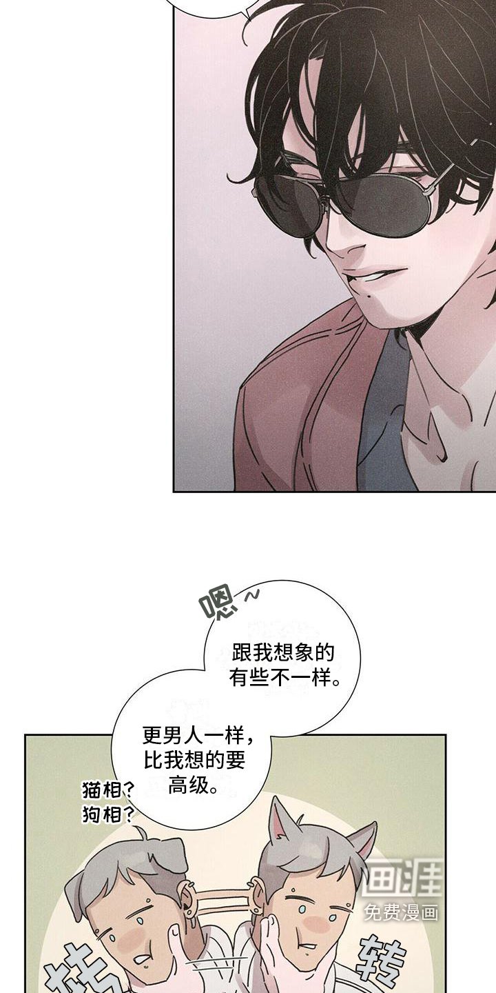 第4章：带回家