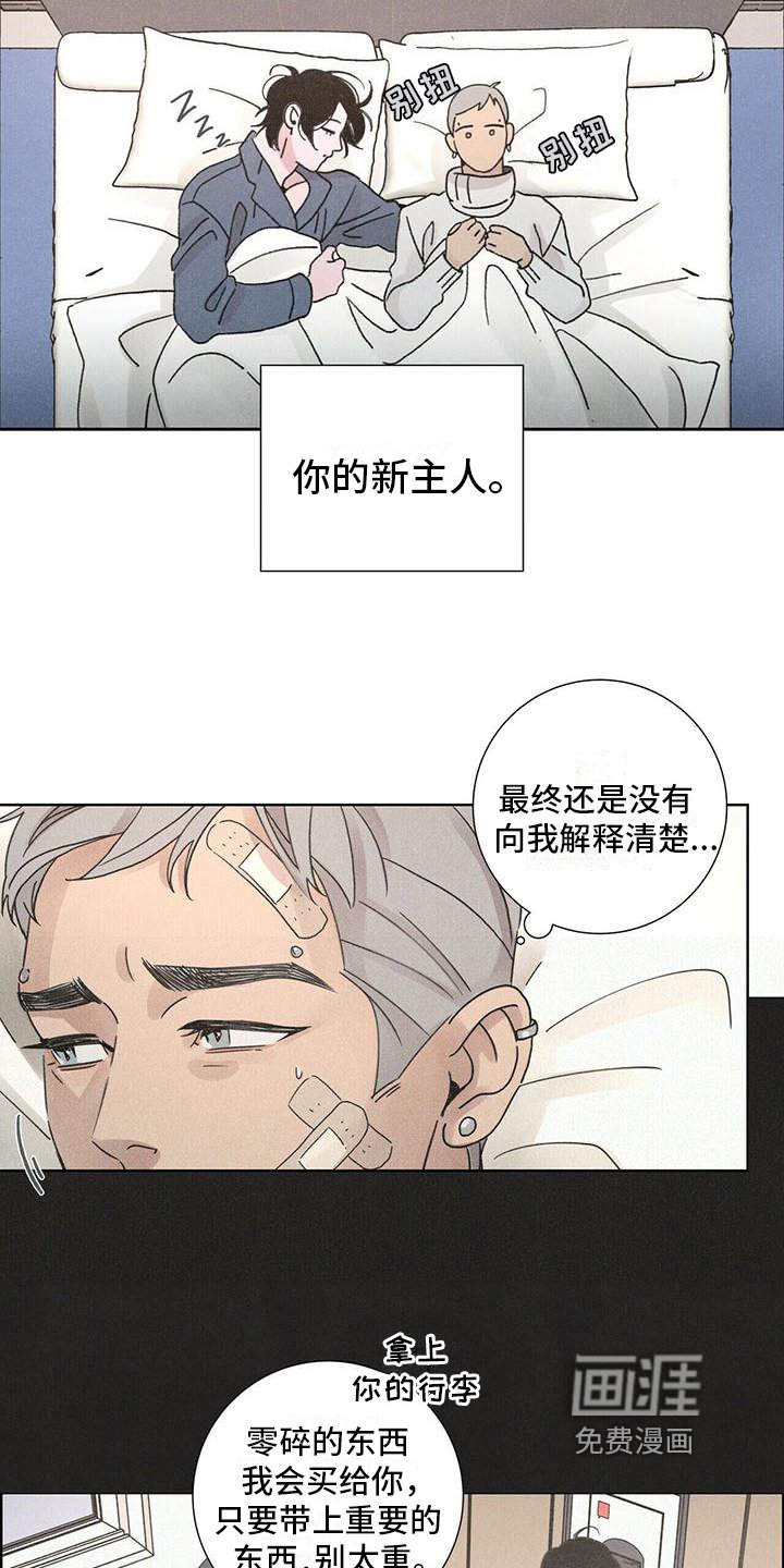 第4章：带回家