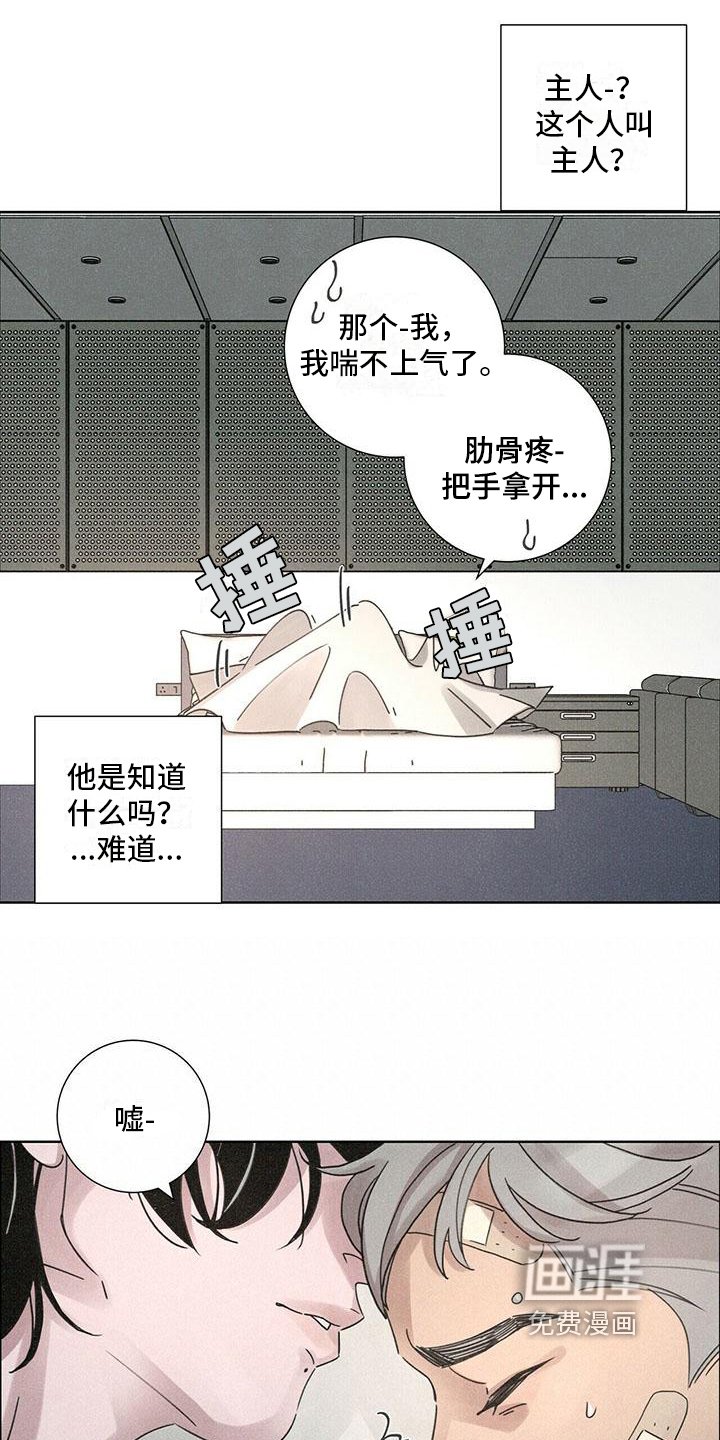 第4章：带回家