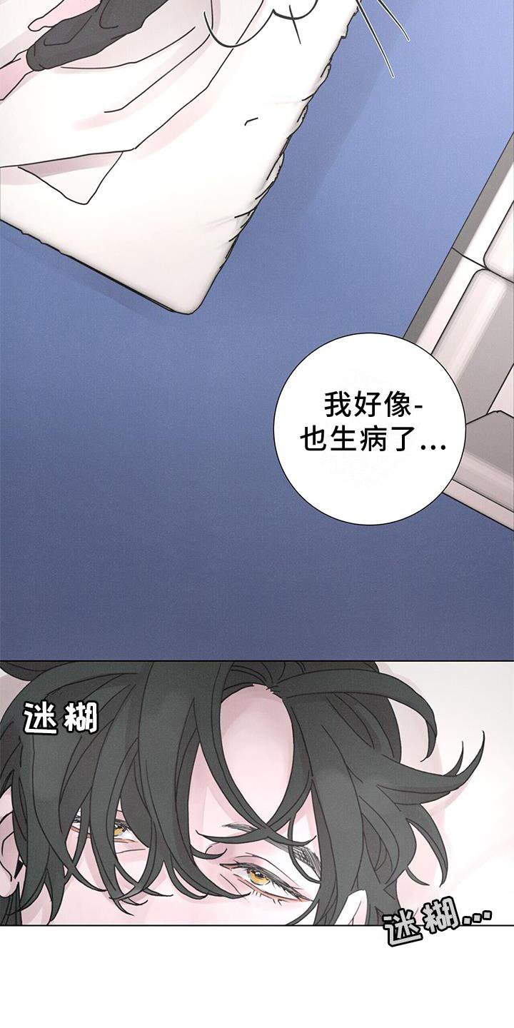 第41章：放弃一切