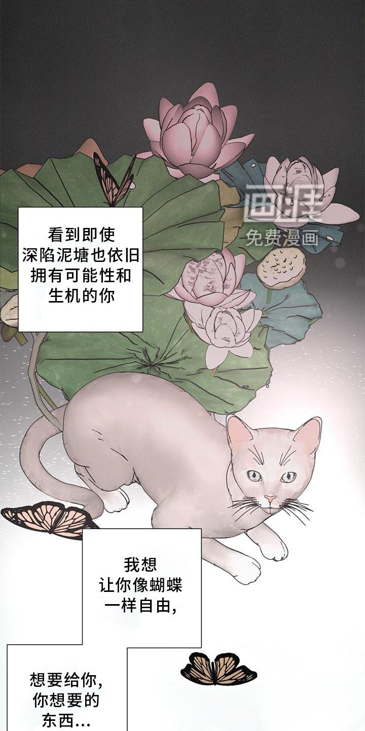 第42章：下雪