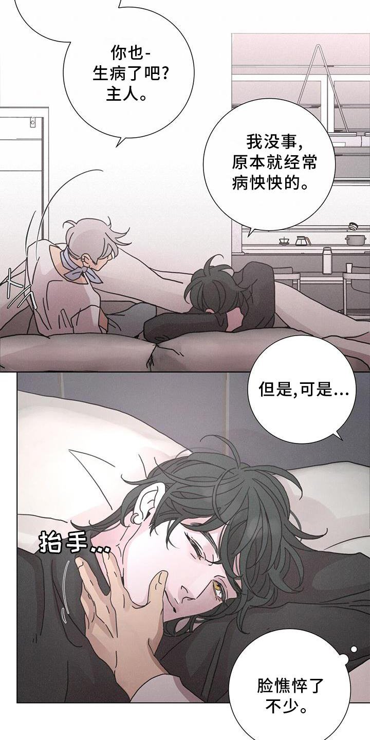 第42章：下雪