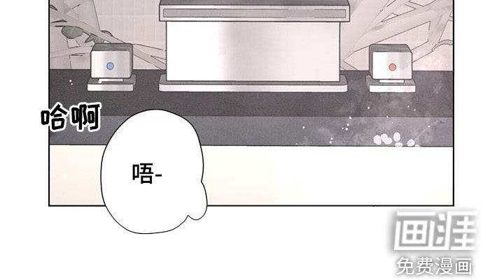 第45章：日常生活（第一季完结）