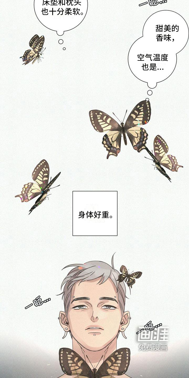 第5章：捉弄
