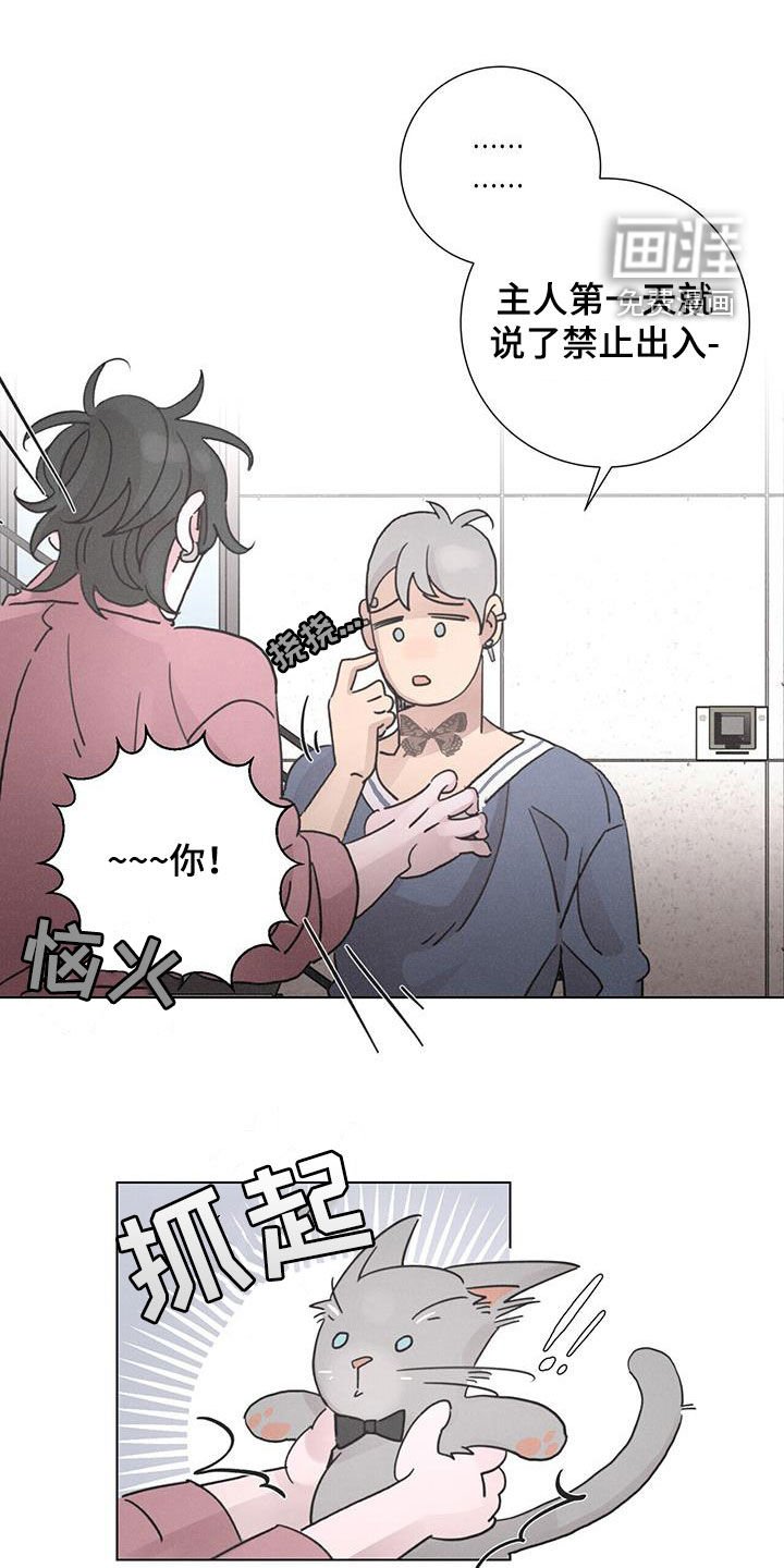 第52章：【第二季】获奖