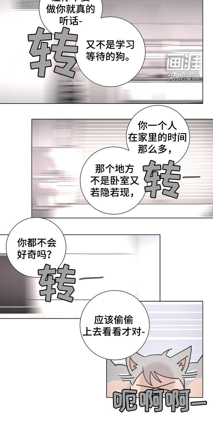 第52章：【第二季】获奖