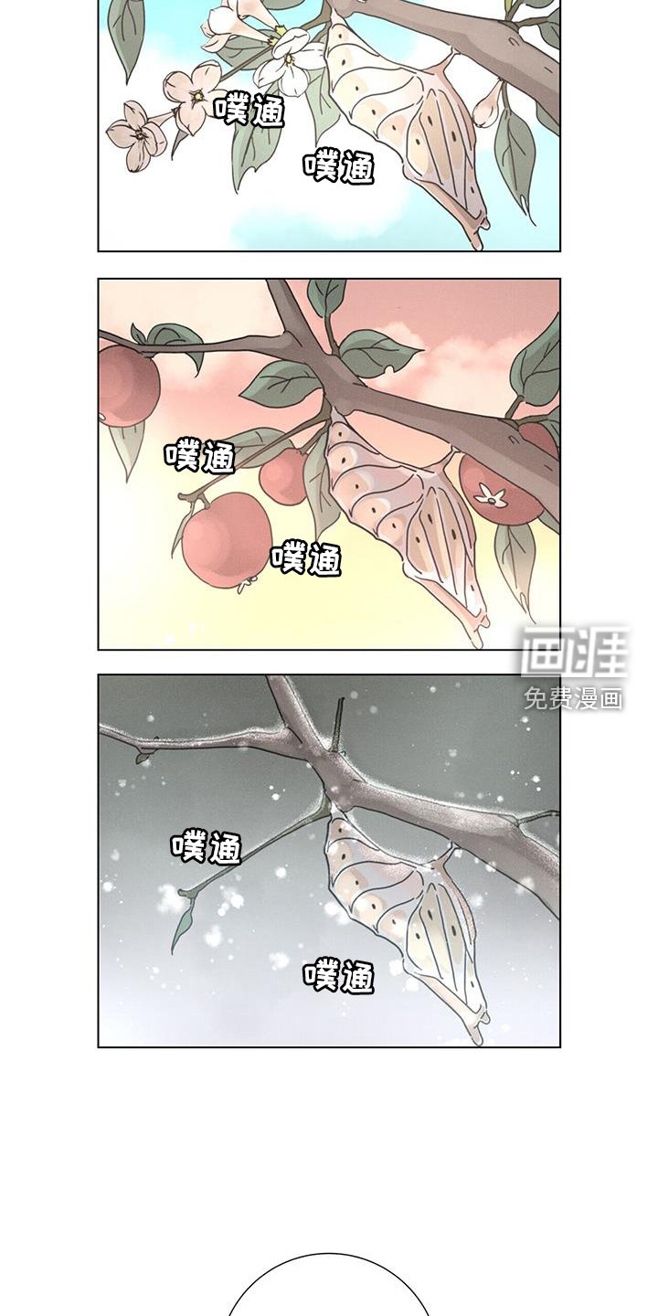 第54章：【第二季】想象