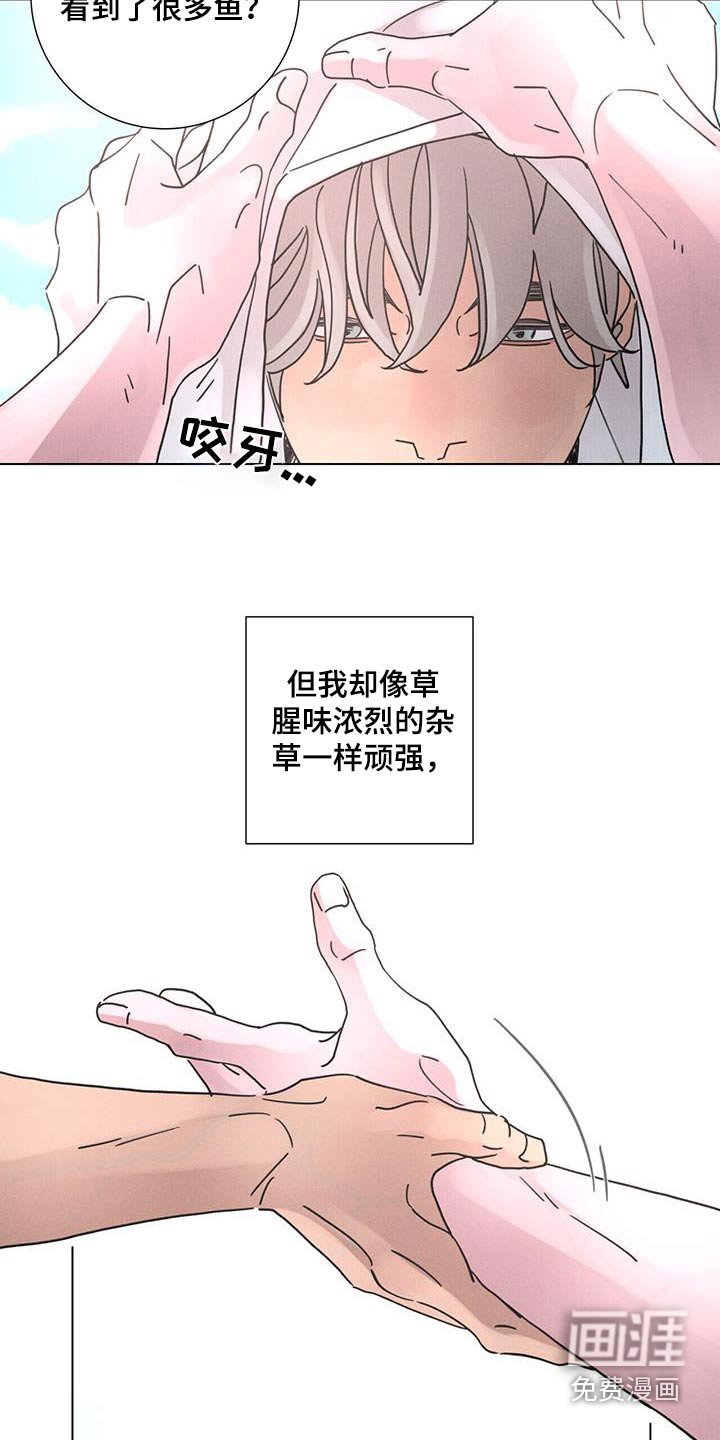 第70章：【第二季】等待