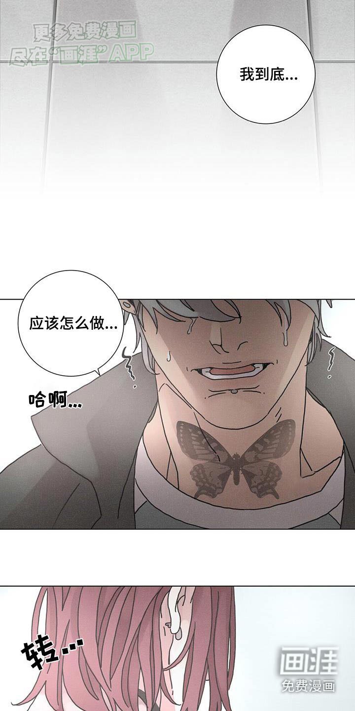 第79章：【第二季】怎么做