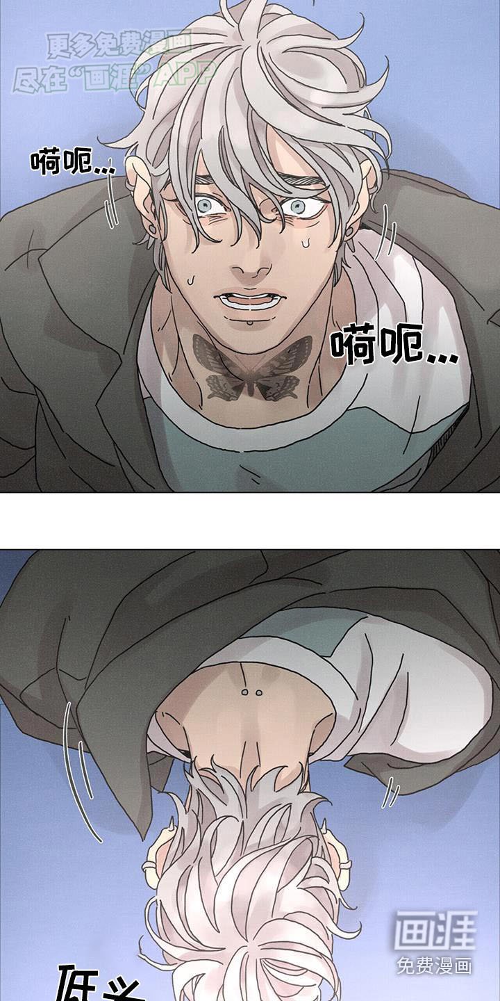 第79章：【第二季】怎么做