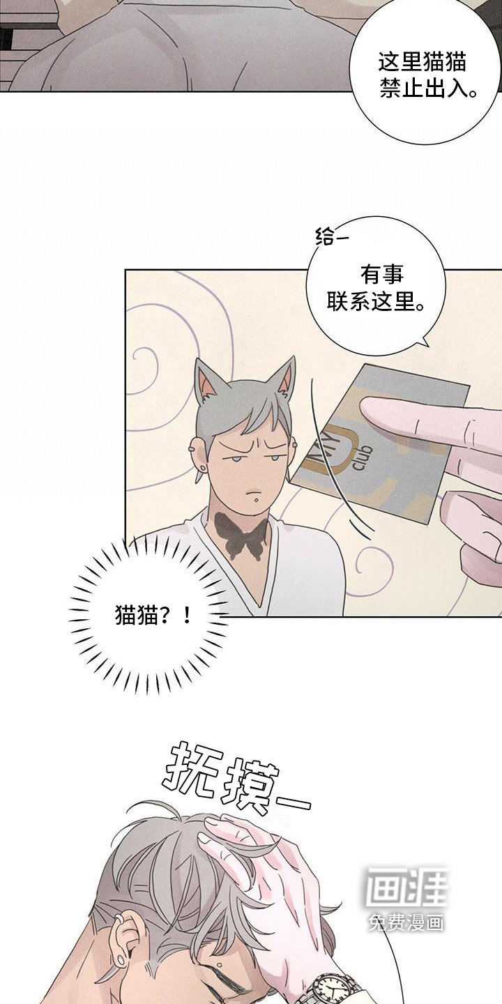 第8章：最后的短信