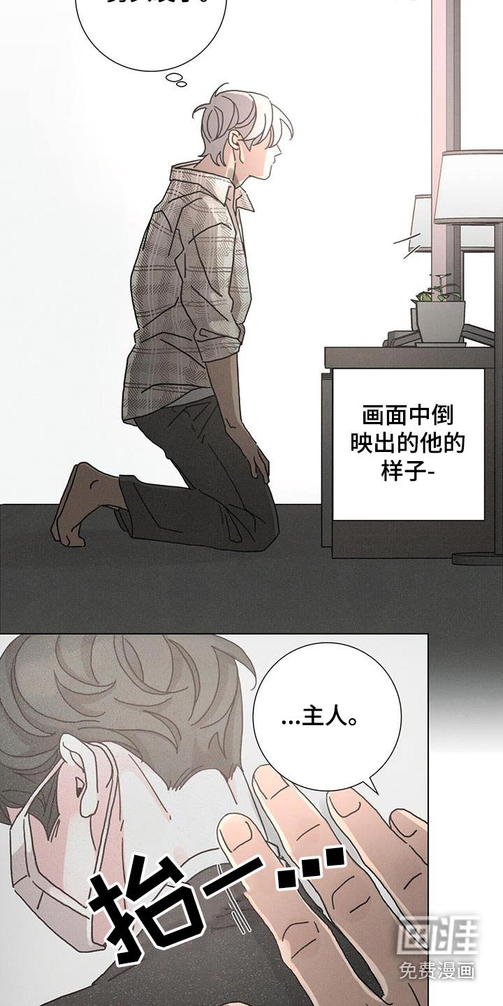 第86章：【第二季】等待