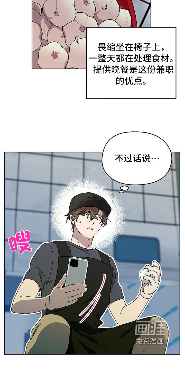 第15章：理解