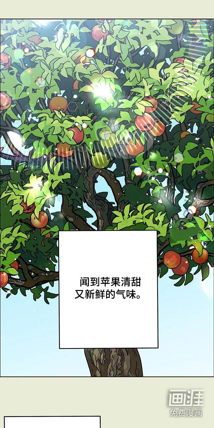 第41章：很久不见 