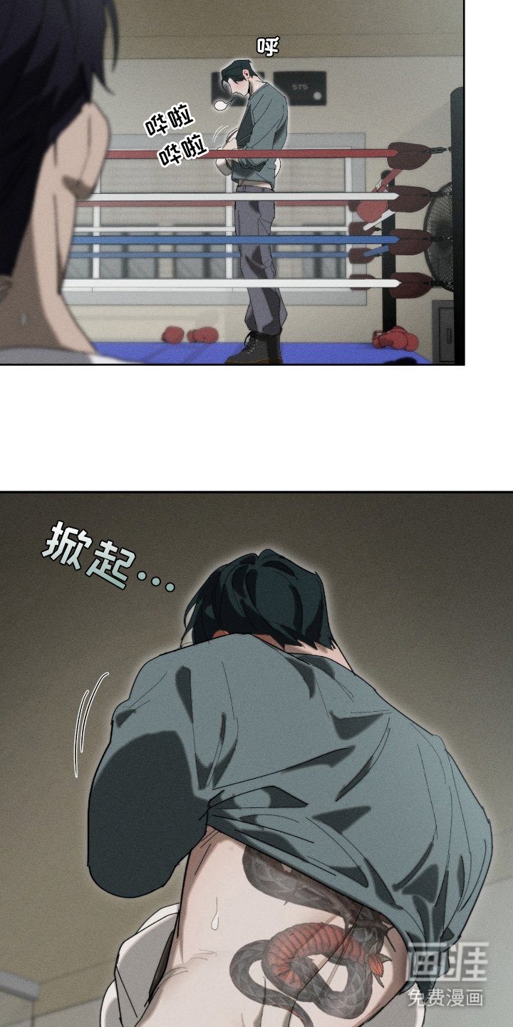 第15章：击倒