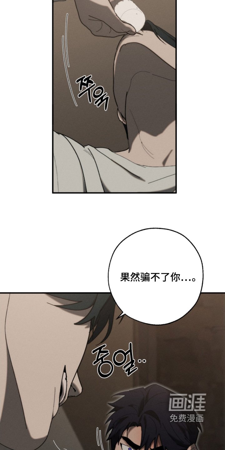 第20章：你是故意的