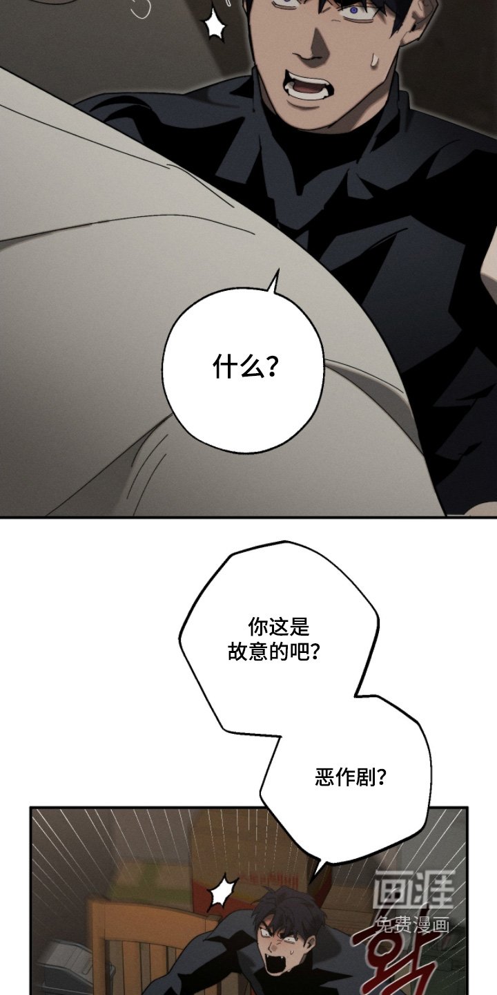 第20章：你是故意的