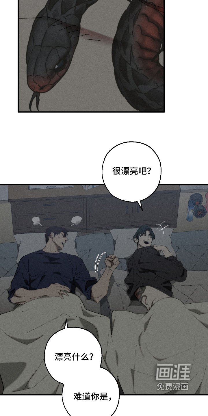 第22章：纹身