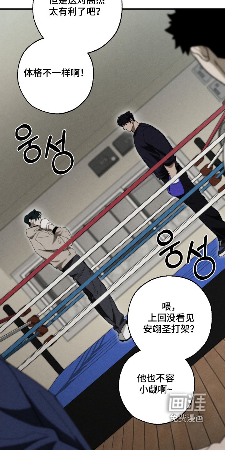 第26章：顶级比赛