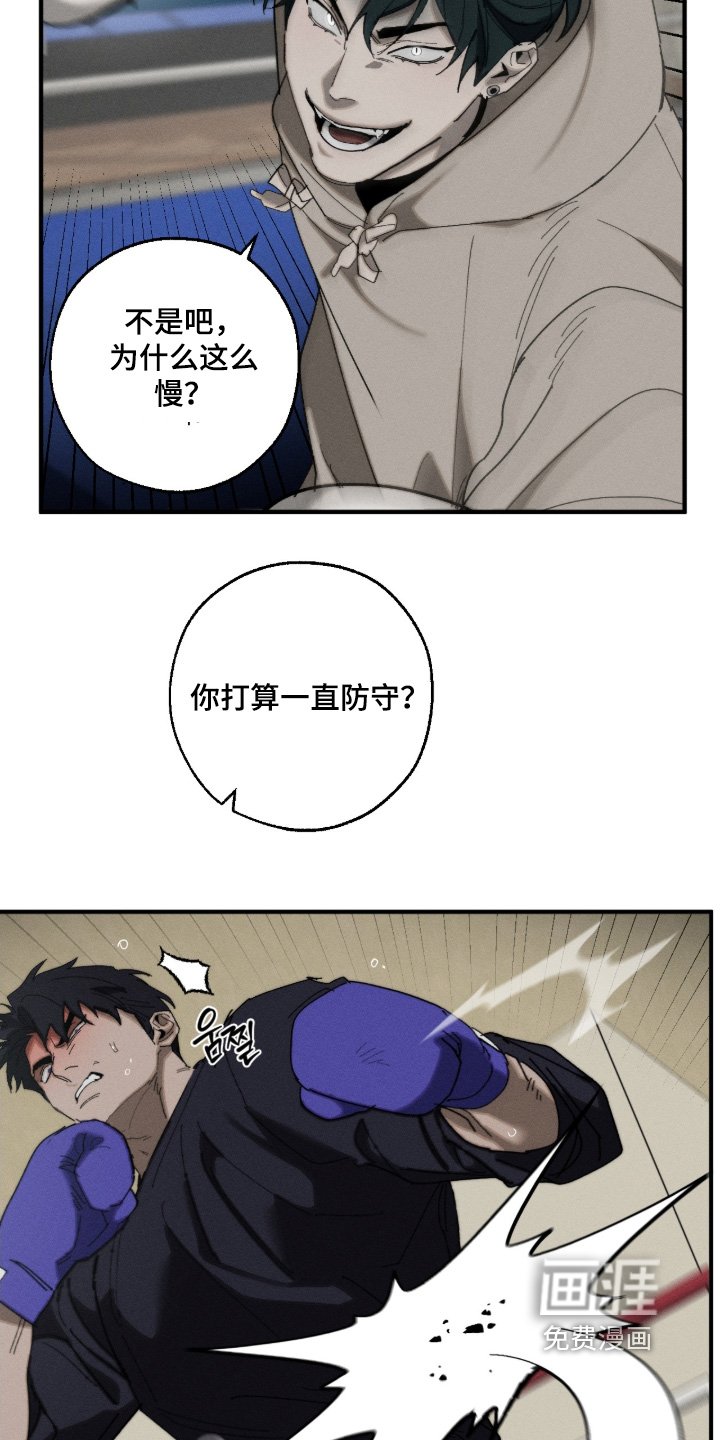 第26章：顶级比赛