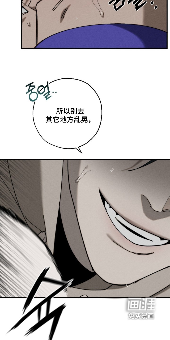 第26章：顶级比赛