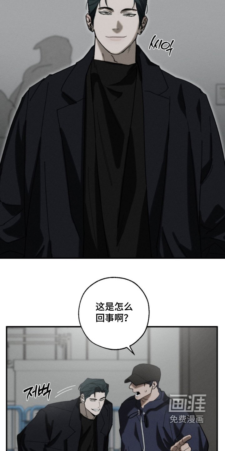 第31章：作品