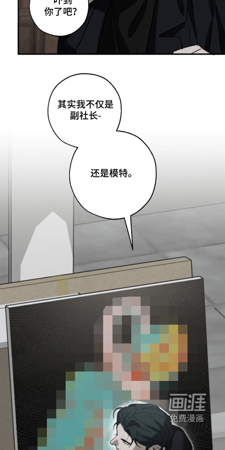 第31章：作品