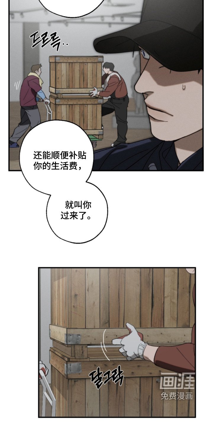 第31章：作品