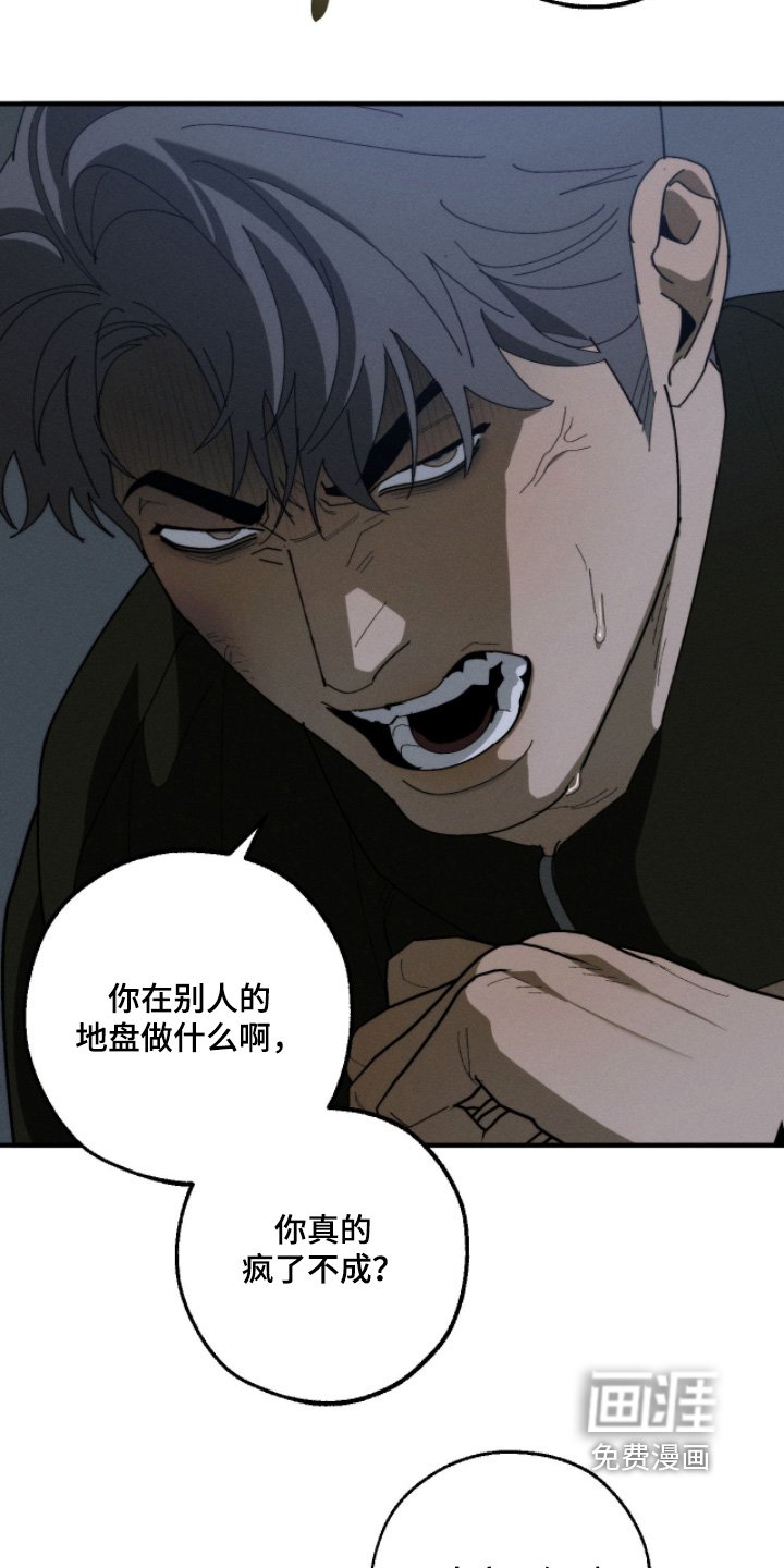 第36章：出什么事了