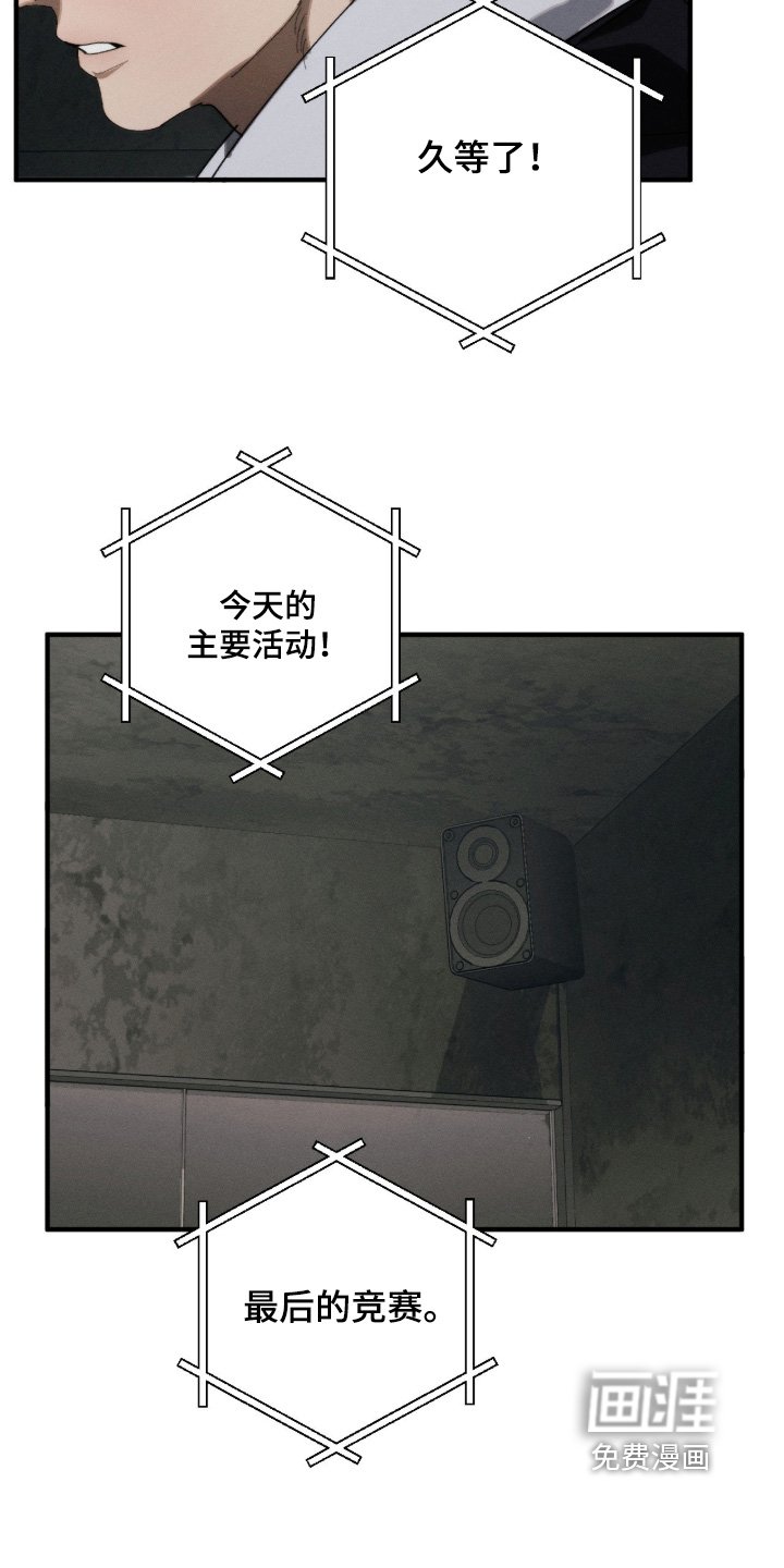 第38章：地下拳赛