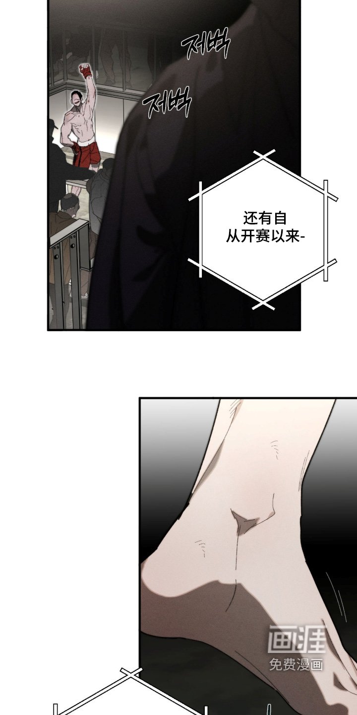 第38章：地下拳赛
