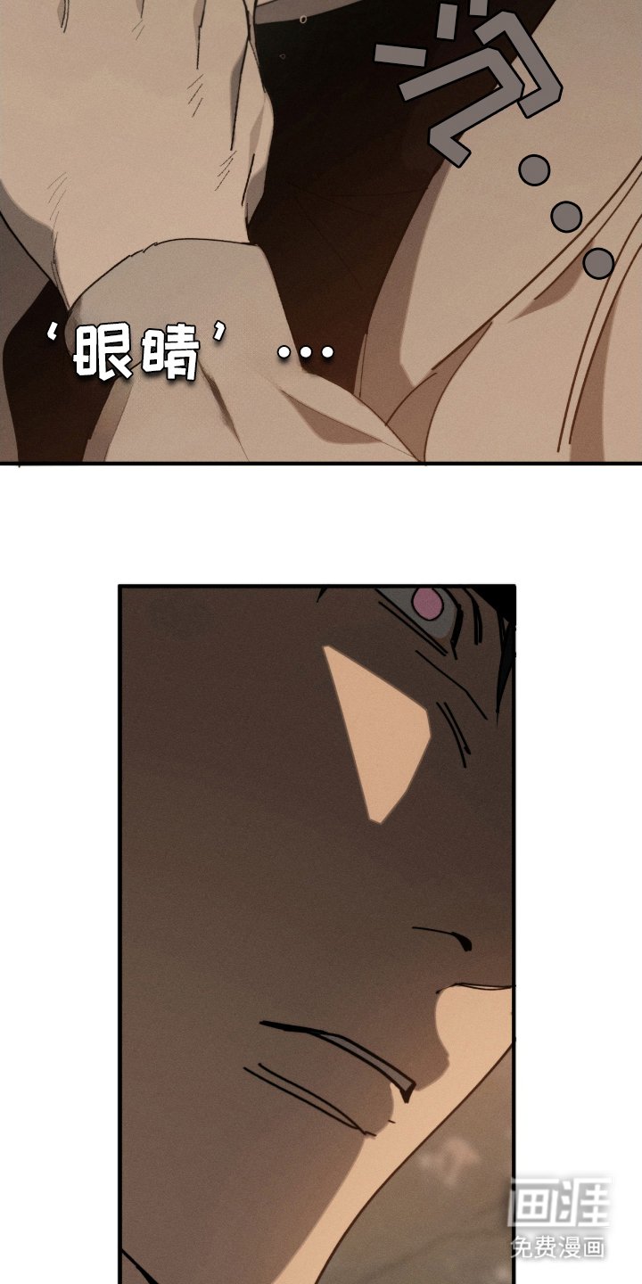 第6章：相似的人