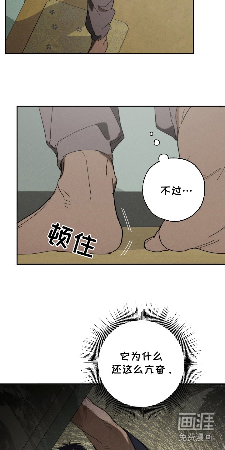 第8章：就是这个