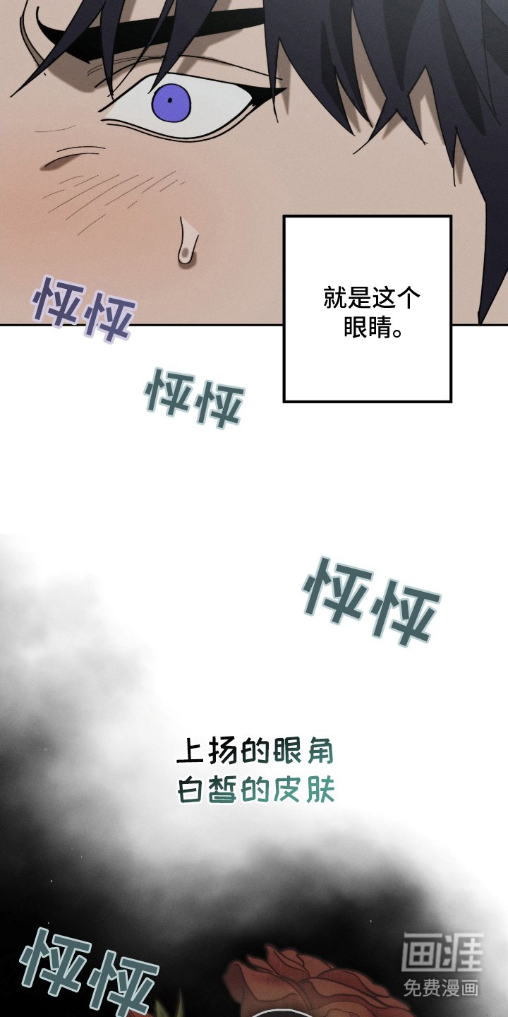 第8章：就是这个