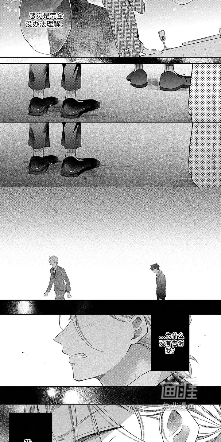 第13章：没法理解