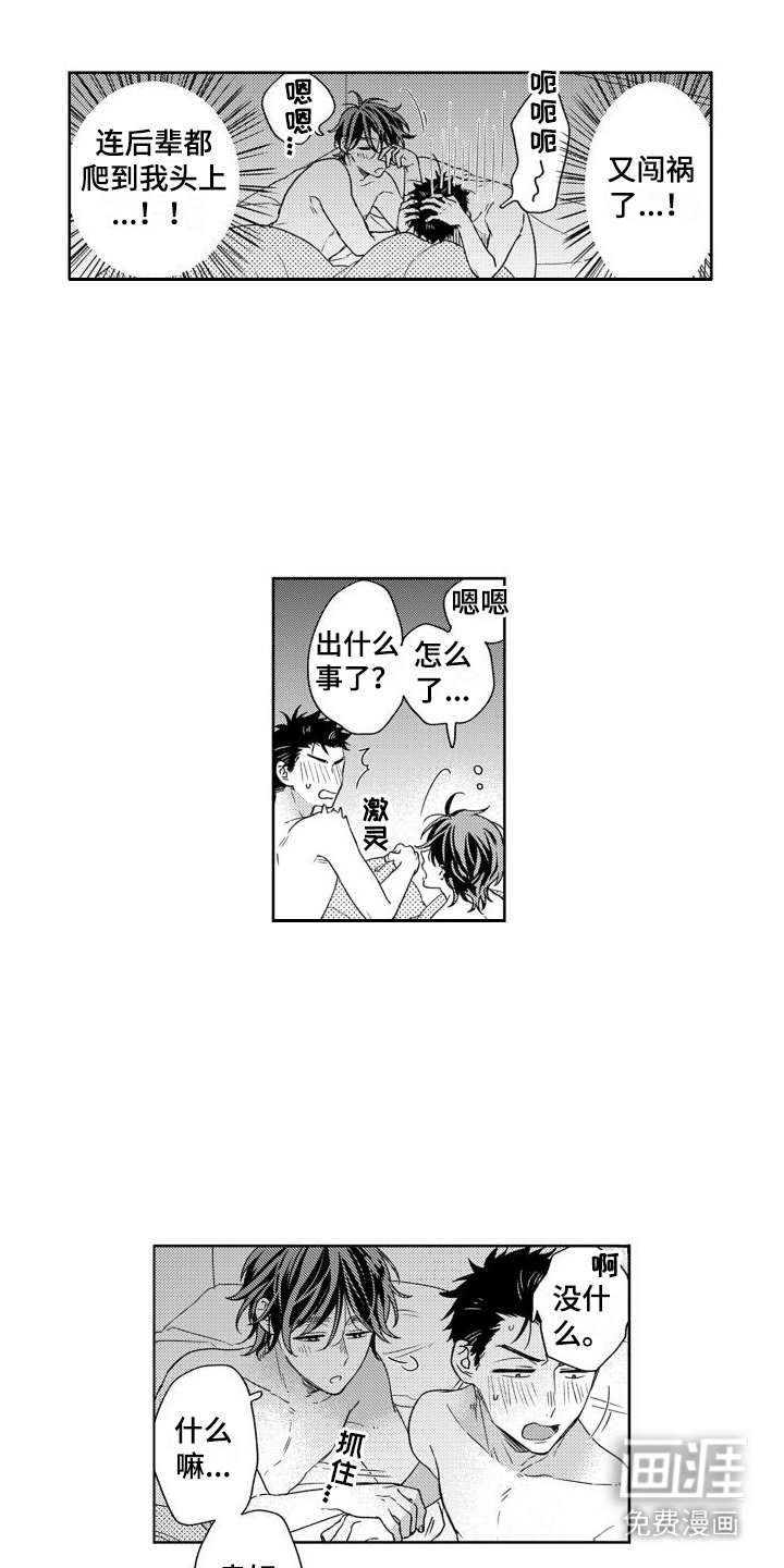 第6章：证明 