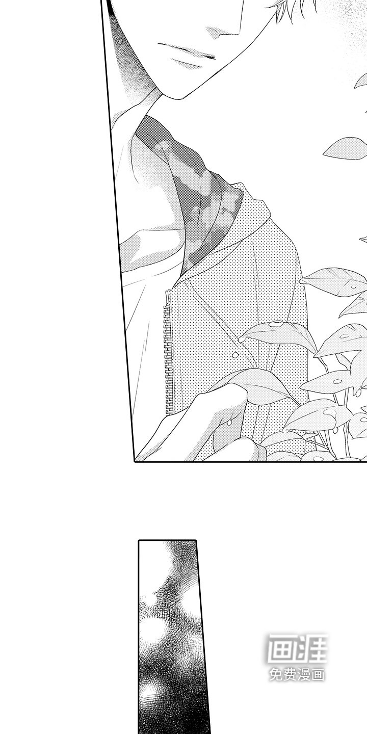 第14章：逃避