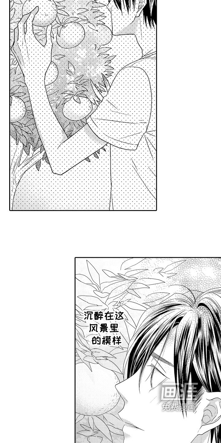 第23章：情感模糊