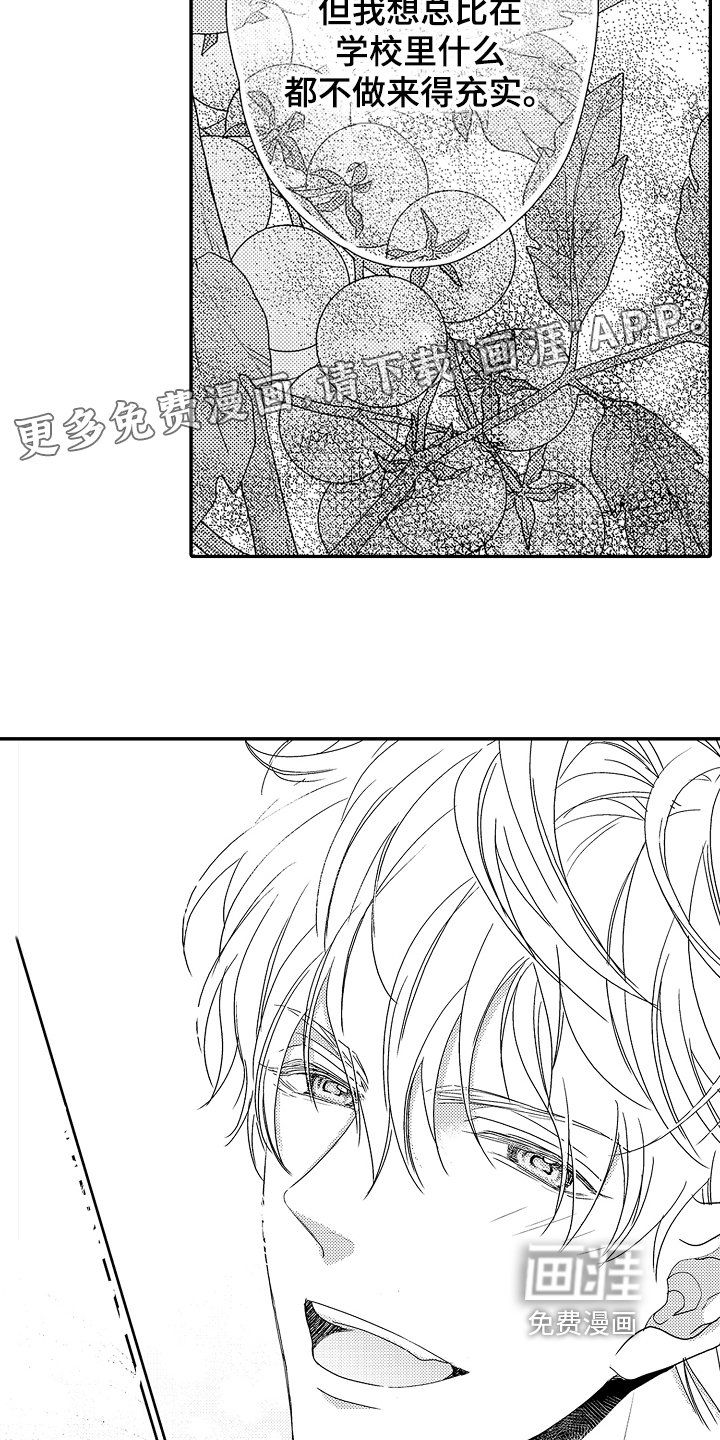 第5章：介绍